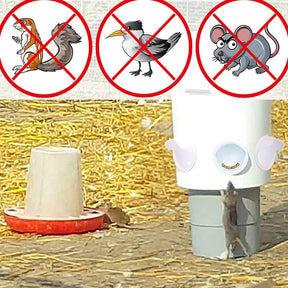 6 Port Chicken Feeder Poultry Feeder DIY Port PVC Gravity Fed Chicken Feeder