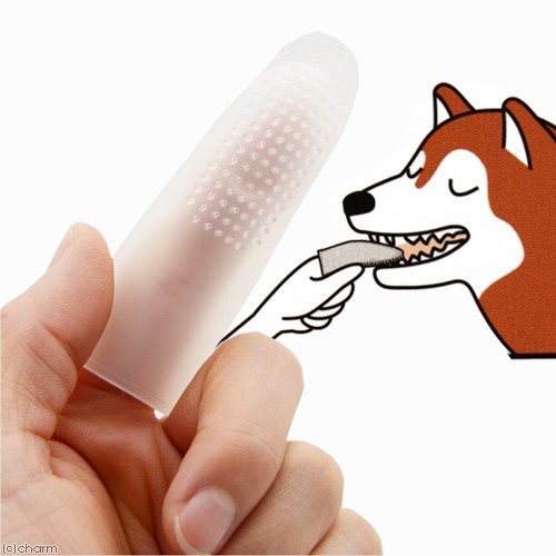 EARTH Pet Finger Toothbrush (For Cats And Dogs) x3