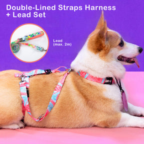 Dog Double-Lined Straps Harness and Lead Set Leash Adjustable S SWEET GREEN