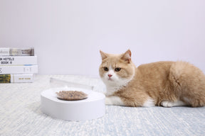 PETKIT Fresh Nano-15 Adjustable Cat Feeding Bowl -Single