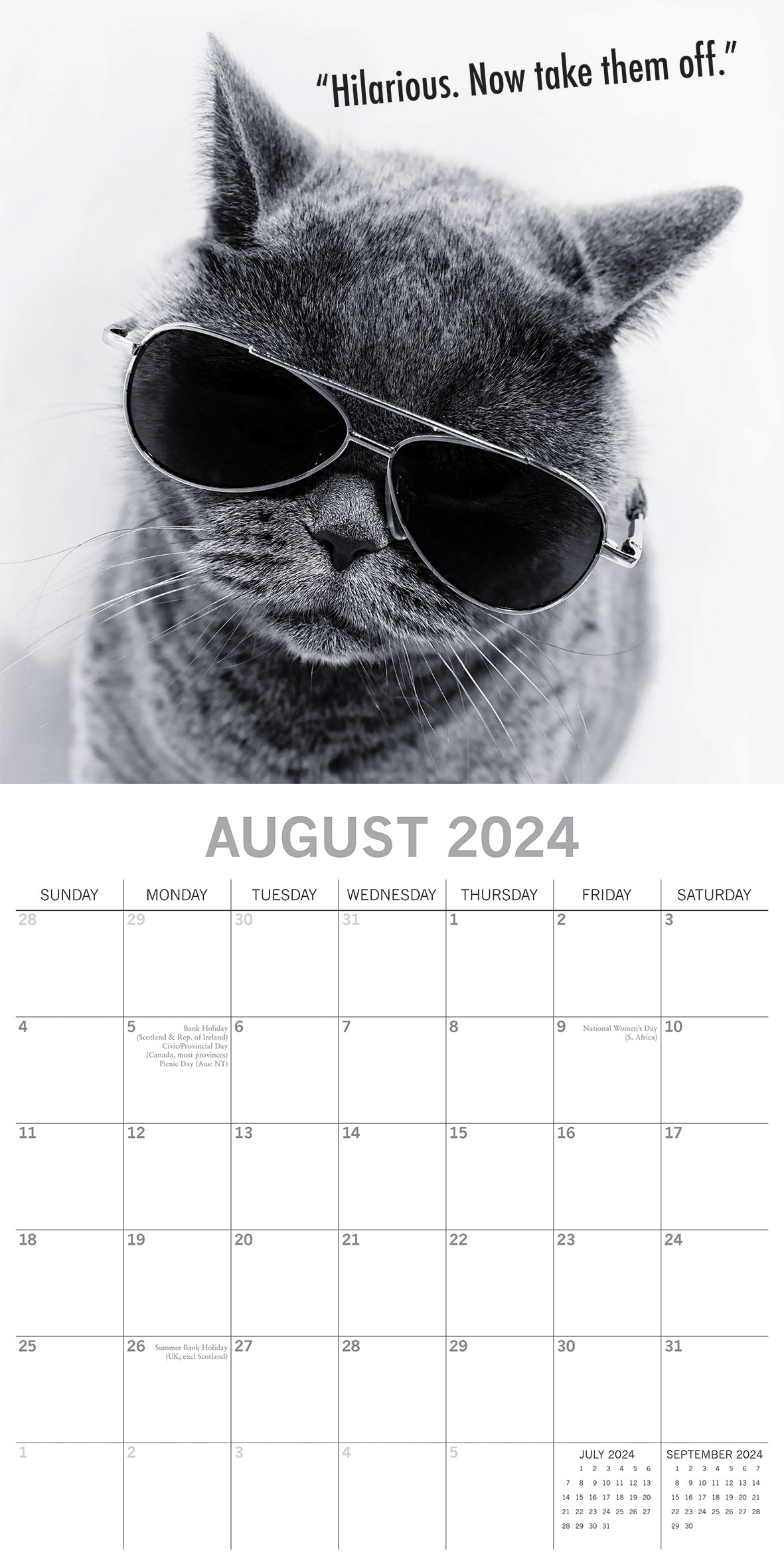 Moggies - 2024 Square Wall Calendar Pets Animals 16 Months Premium Planner Gift