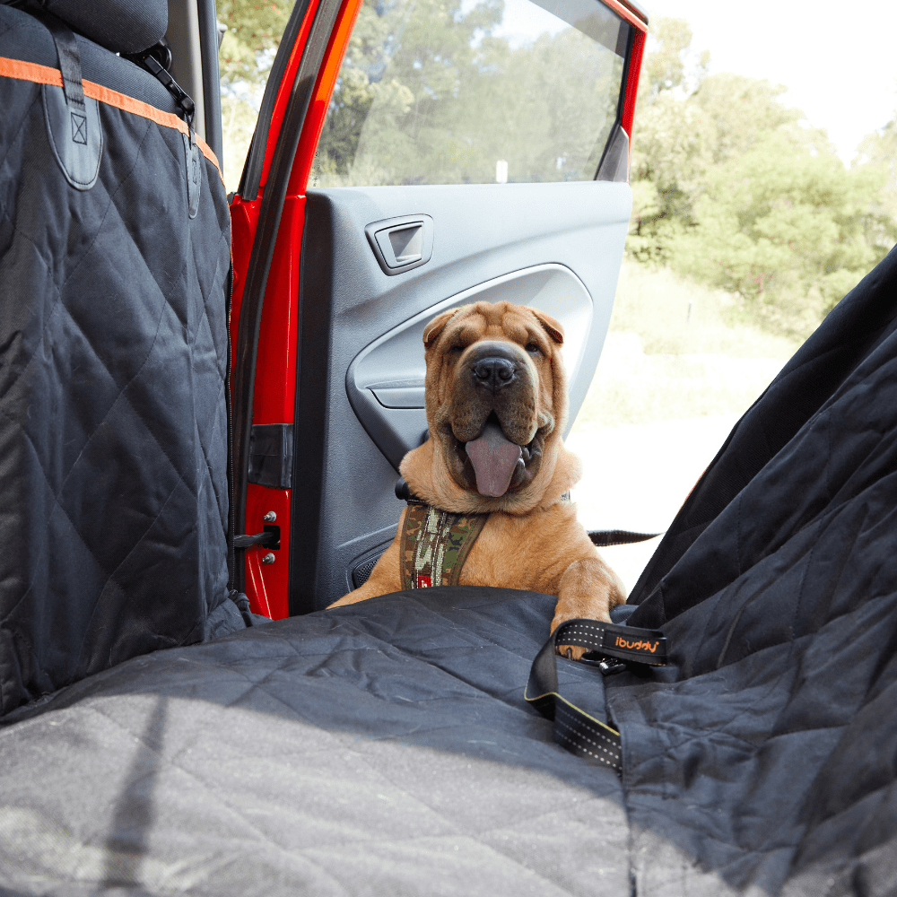 iBuddy Dog Seat Cover Car Hammock w/ Mesh Window & Dog Seat Belt