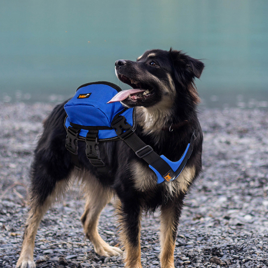 Ondoing Dog Backpack Harness Pet Carrier Saddle Bag Reflective Adjustable Outdoor Hiking-L-Blue