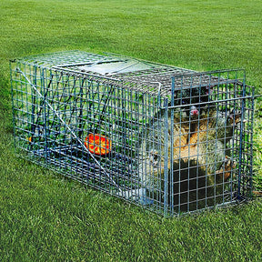 Trap Humane Possum Cage Live Animal Safe Catch Rabbit Cat Hare Fox Bird