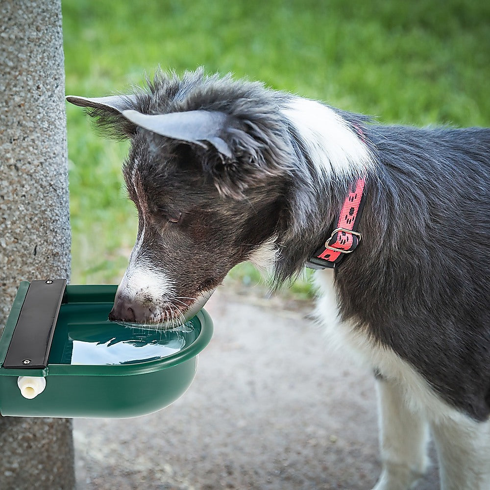 4L Water Trough Bowl with Automatic Float Valve